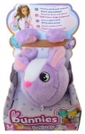 bunnies-kroliczek-fantasy-fioletowo-bialy-1.jpg