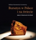 bursztyn-w-polsce-i-na-swiecie-1.jpg