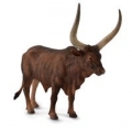byk-ankole-watusi-domowe-l.jpg
