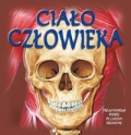 cialo-czlowieka-8.jpg
