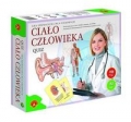 cialo-czlowieka-quiz-big.jpg