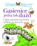 ciekawe-dlaczego-gasienice-tak-duzo-jedza.jpg