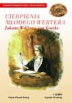 cierpienia-mlodego-wertera.jpg