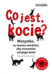 co-jest-kocie.jpg