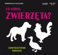 co-mowia-zwierzeta-kontrastowe-literat.jpg
