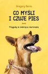 co-mysli-i-czuje-pies.jpg