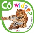 co-widze-dzikie-zwierzeta.jpg