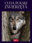 cuda-polski-zwierzeta-1.jpg