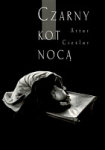 czarny-kot-noca.jpg