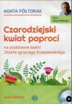 czarodziejski-kwiat-paproci.jpg