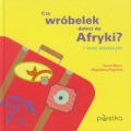 czy-wrobelek-doleci-do-afryki.jpg