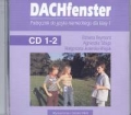 dachfenster-1-cd.jpg