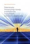 determinanty-innowacyjnego-rozwoju-przedsiebiorstw-na-przykladzie-wybranych-rodzajow-uslug.jpg