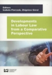 developments-in-labour-law-from-a-comparative-perspective.jpg