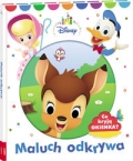 disney-maluch-maluch-odkrywa.jpg