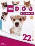 dog-kolekcja-22-foksterier-ostrowlosy-maskotka.jpg
