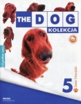 dog-kolekcja-5-seter-irlandzki.jpg
