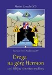 droga-na-gore-hermon.jpg