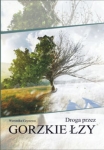 droga-przez-gorzkie-lzy.jpg