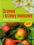 drzewa-i-krzewy-owocowe-1.jpg
