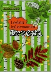 drzewa-lesna-kolorowanka.jpg