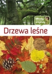 drzewa-lesne-2.jpg