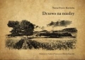 drzewo-na-miedzy.jpg