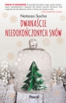 dwanascie-niedokonczonych-snow-1-4.jpg