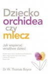 dziecko-orchidea.jpg