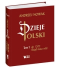dzieje-polski-tom-1.jpg