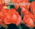 dziekuje-bardzo-perelka-156-1.jpg