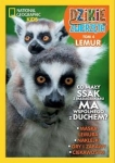 dzikie-zwierzeta-4-lemur-1.jpg