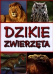 dzikie-zwierzeta-6.jpg