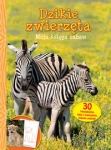 dzikie-zwierzeta-7.jpg