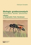 ekologia-grzebaczowatych-hymenoptera-apoidea-spheciformes-odlogow-w-kampinowskim-parku-narodowym.jpg