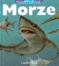 encyklopedia-larousse-rsquo-a-dla-dzieci-w-wieku-6-9-lat-morze.jpg