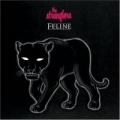 feline.jpg