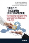 fundusze-i-programy-unii-europejskiej-wspierajace-przedsiebiorstwa-w-perspektywie-finansowej-2014-2020.jpg