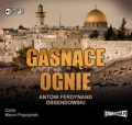 gasnace-ognie-3.jpg