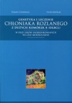 genetyka-i-leczenie-chloniaka-rozlanego-z-duzych-komorek-b-dlbcl.jpg