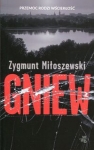 gniew-6.jpg