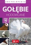 golebie-hodowlane-encyklopedia.jpg