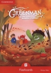 greenman-and-the-magic-forest-b-flashcards.jpg