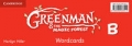greenman-and-the-magic-forest-b-wordcards-pack-of-48.jpg