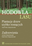 hodowla-lasu-plantacje-drzew-szybko-rosnacych-zadrzewienia-1.jpg