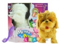 interaktywny-pies-na-smyczy-metro-pet.jpg