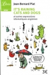 it-s-raining-cats-and-dogs-et-autres-expressions-idiomatique.jpg