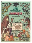 jak-to-dziala-zwierzeta.jpg