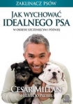 jak-wychowac-idealnego-psa.jpg
