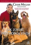 jak-zostac-przywodca-stada.jpg